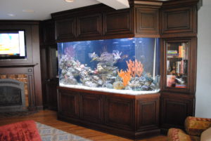 Huntsville Aquarium Services and Design