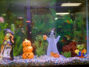 Holiday Aquarium Services