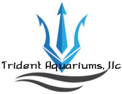 Trident Aquariums